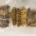 熟冻即食天然南海黄玉参