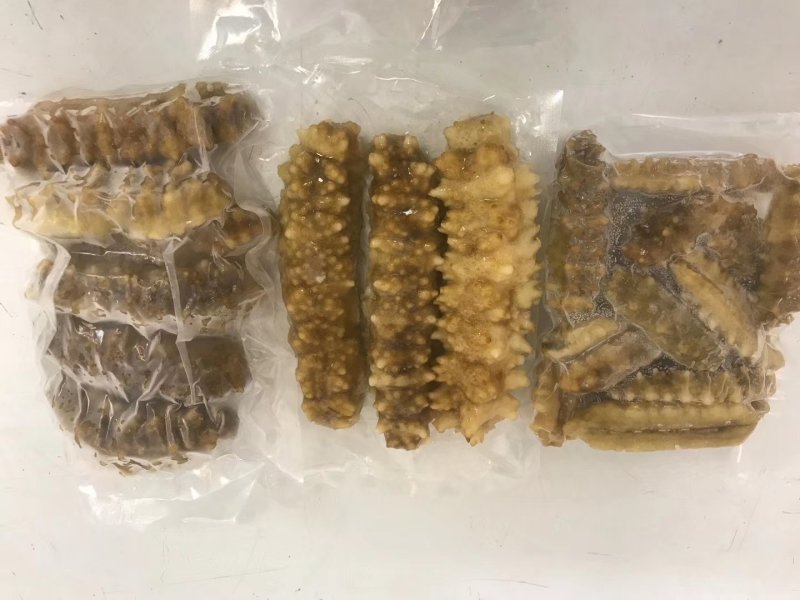 熟冻即食天然南海黄玉参