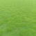 园林绿化工程有限公司