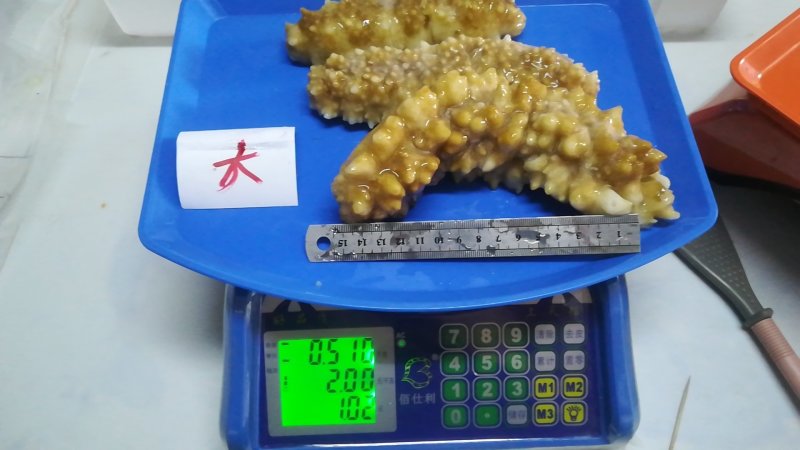 熟冻即食天然南海黄玉参