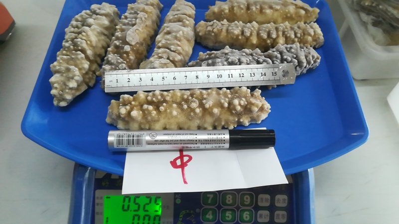 熟冻即食天然南海黄玉参