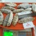 熟冻即食天然南海黄玉参