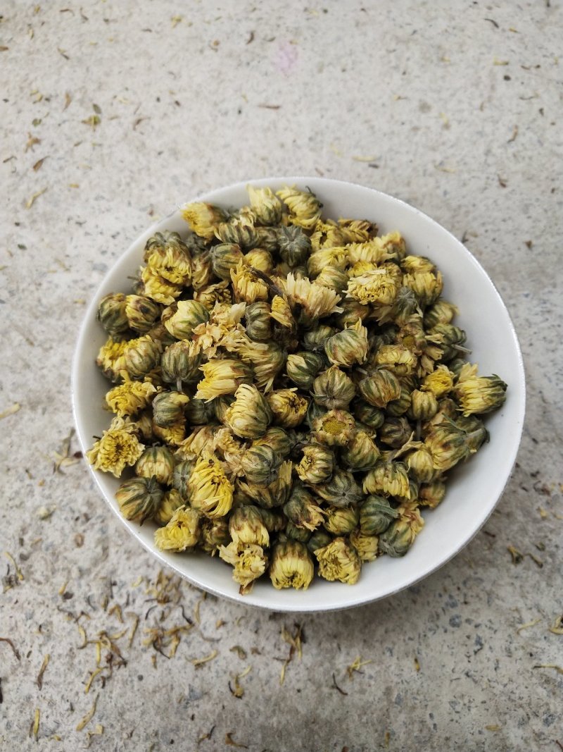 太阳菊