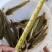 三黄塘角鱼，快大种，杂交育种