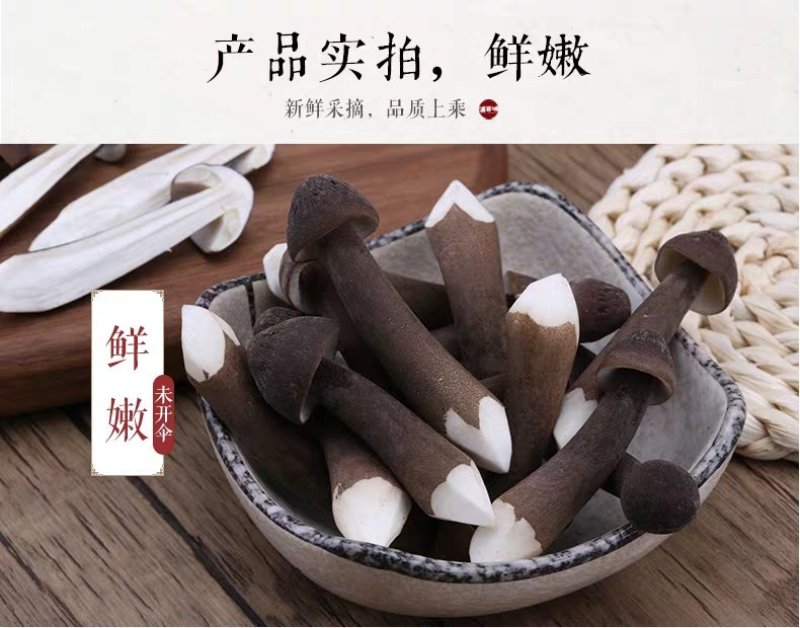 黑皮鸡枞