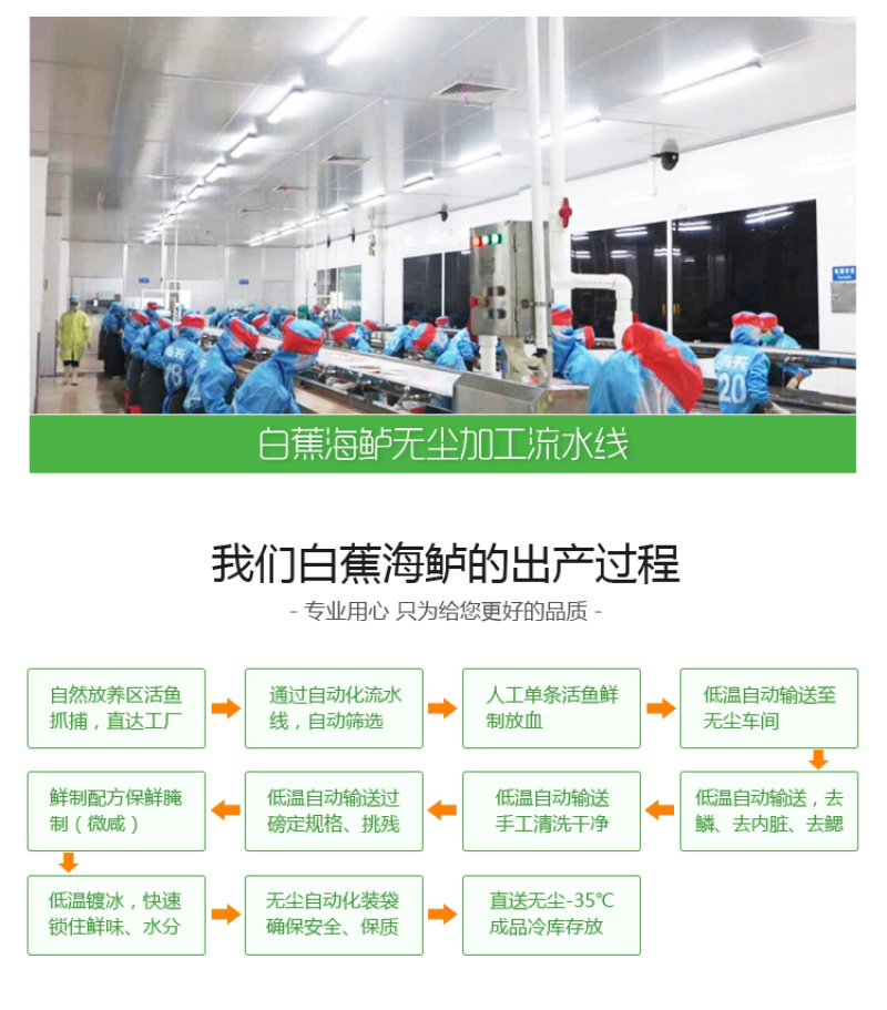 白蕉海鲈鱼三去开背型厂家直销规格齐全直供餐饮批发