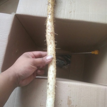 花菜茄子豆角红薯白山药等等