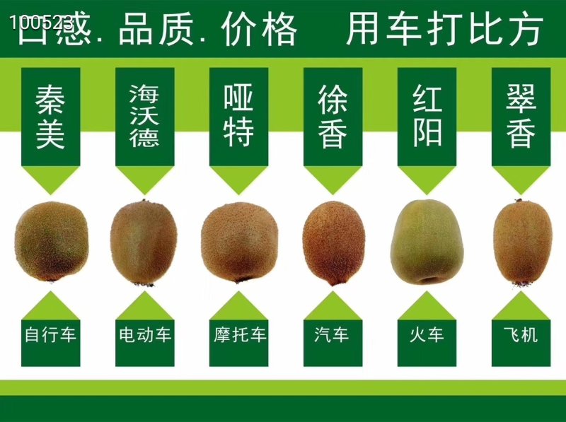 眉县红心红阳猕猴桃一件代发专业招平台合作