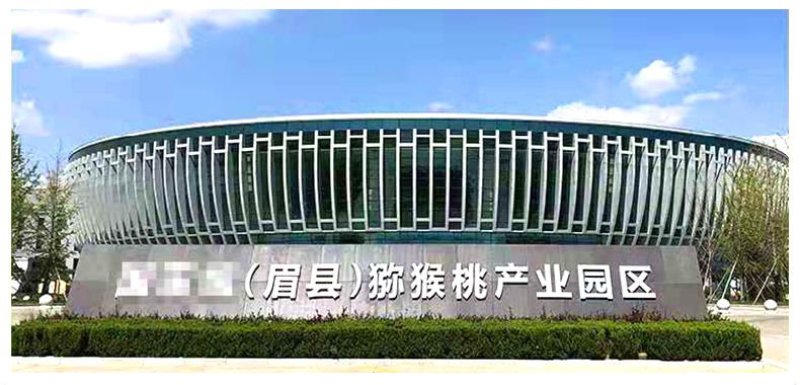 眉县红心红阳猕猴桃一件代发专业招平台合作
