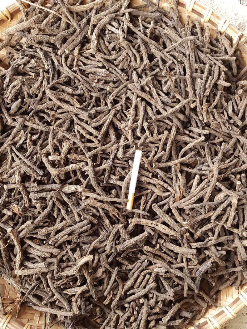 仙茅干货