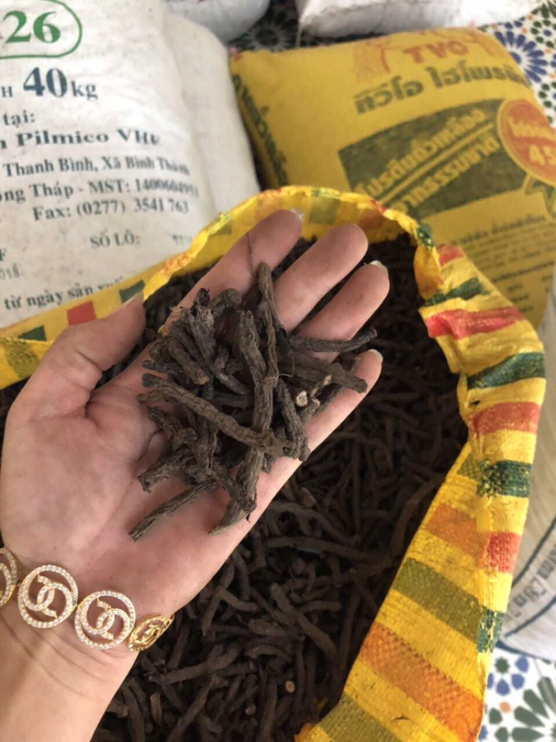 仙茅干货