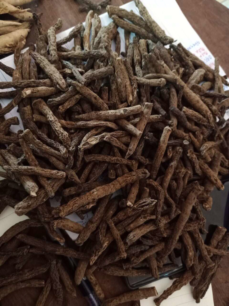 仙茅干货