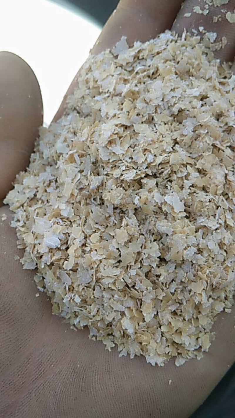 香菇专用大片烘干麸皮