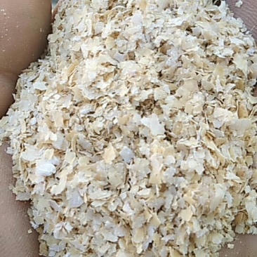 香菇专用大片烘干麸皮