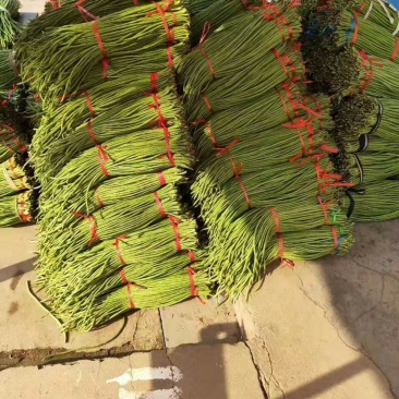 广东豆角，蔬菜豆角，豇豆，产区直发，大量上市供应中