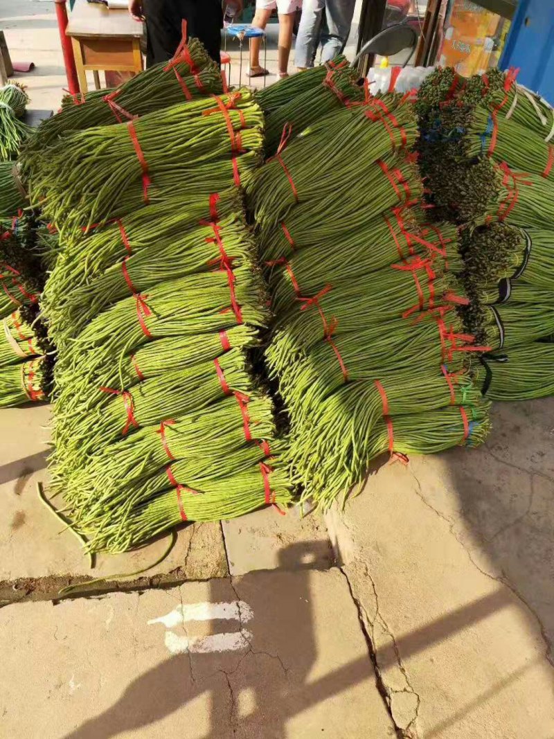 广东豆角，蔬菜豆角，豇豆，产区直发，大量上市供应中