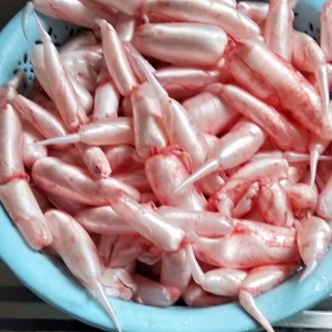 大翘嘴鱼泡都是每天用新鲜大鱼杀出来的新鲜鱼泡。