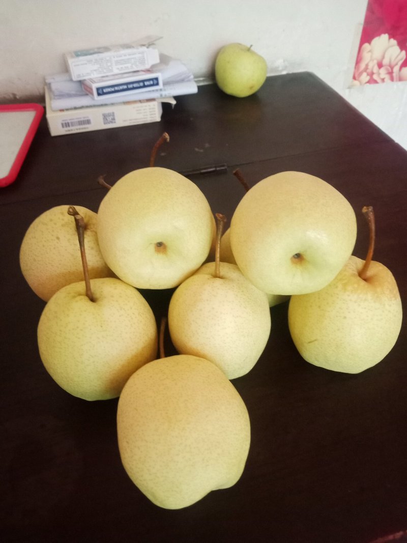 诚信经营