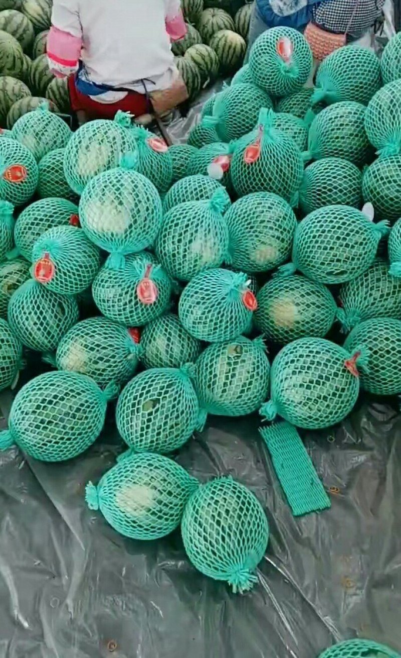 美都西瓜