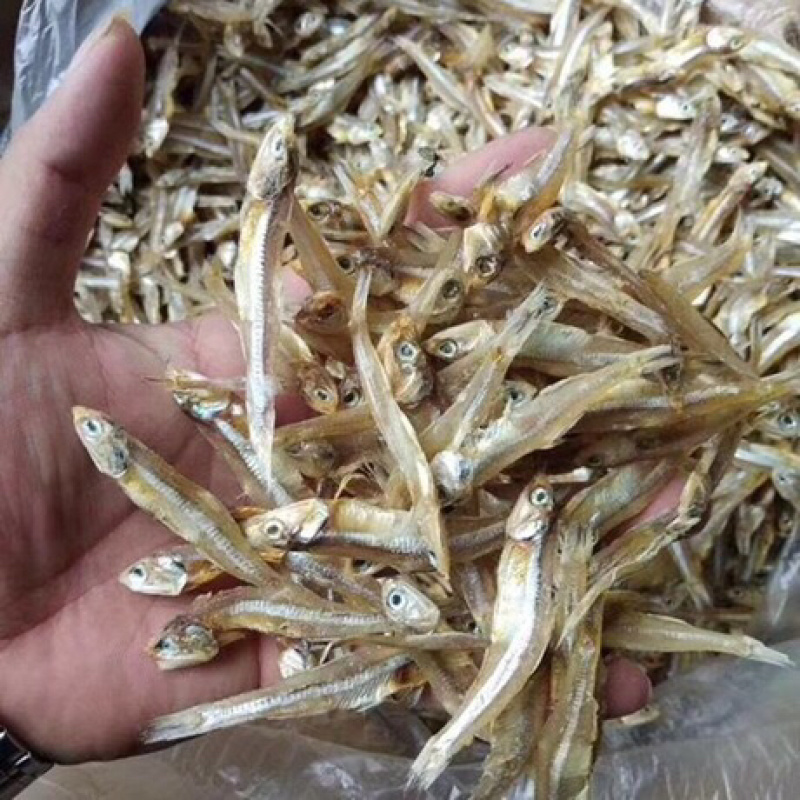 深海天然小鱼干深海小鱼干小鱼干拿货送广告布，录音