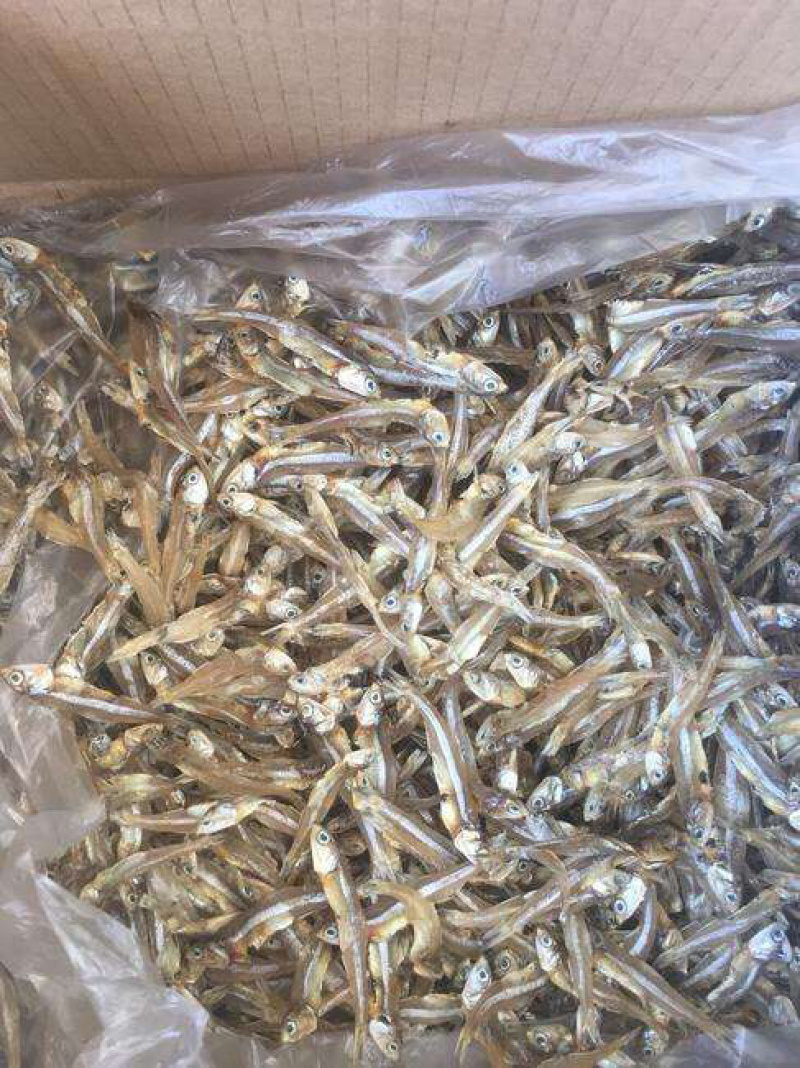 深海天然小鱼干深海小鱼干小鱼干拿货送广告布，录音