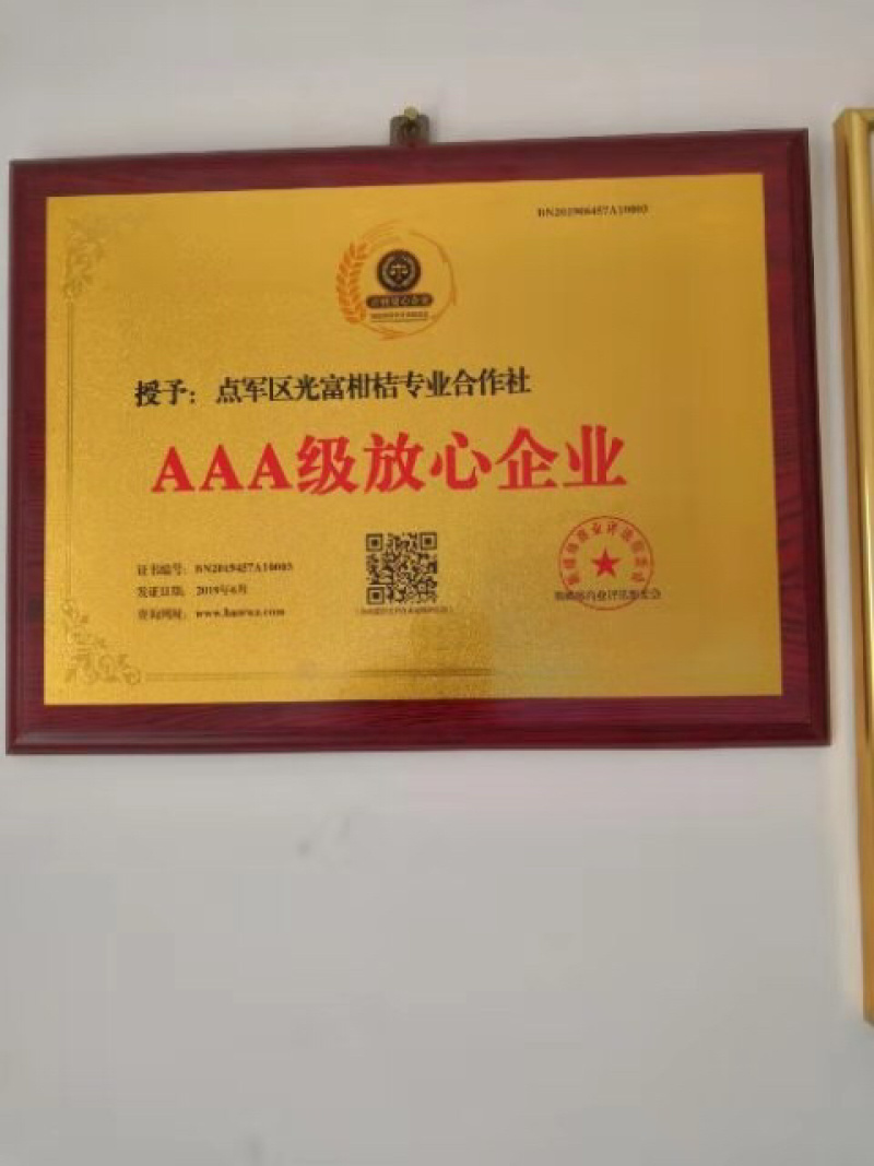 蜜橘柑桔出售自己的工厂无代办费
