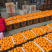蜜橘柑桔出售自己的工厂无代办费