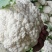 有机花菜，青梗散花，质量保证，代发各地市场，诚信经营，实