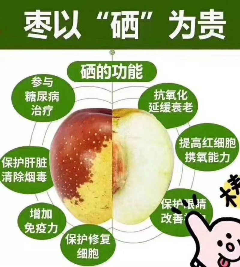 沾化富硒冬枣，百果之王