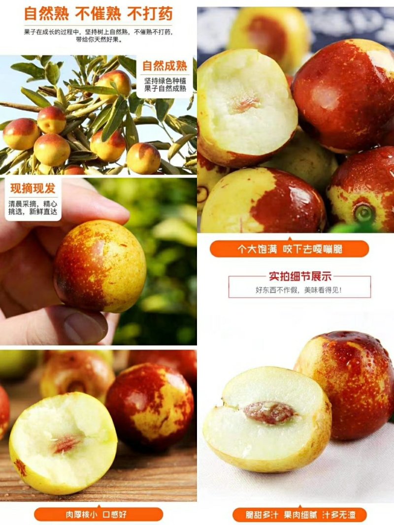 沾化富硒冬枣，百果之王