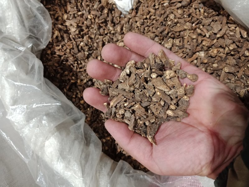 蒲公英茶