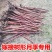 无刺蔷薇直杆独杆月季玫瑰嫁接砧木多头老桩高杆树桩山木香