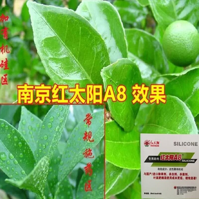 红太阳专用A8有机硅助剂农用渗透农药助剂增效剂a8