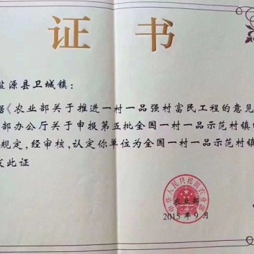 大凉山盐源糖心苹果