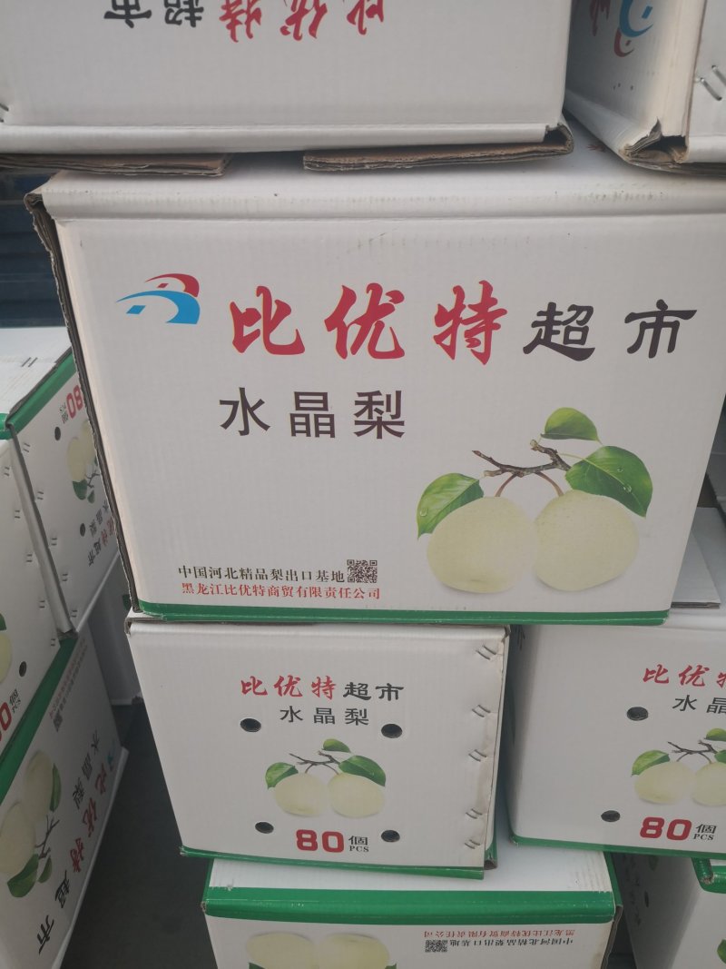 河北水晶梨，各种型号，均有货，保质保量。