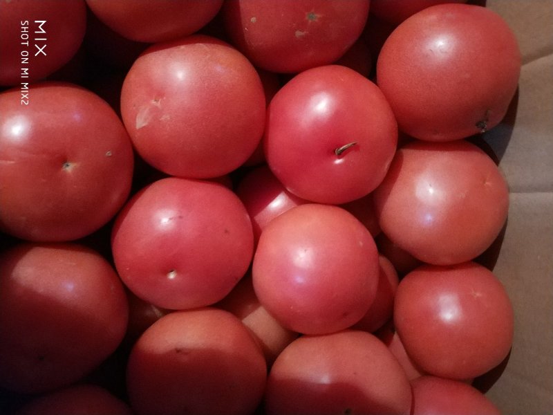 有机花菜大量上市
