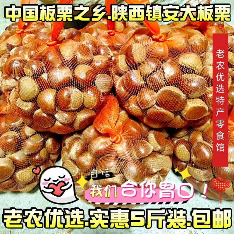 毛栗子镇安大板栗陕南特产板栗油栗子秦岭野生板栗子