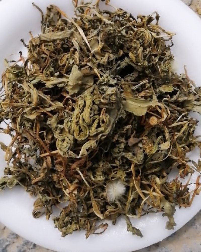 干货蒲公英，晾干，新鲜货。