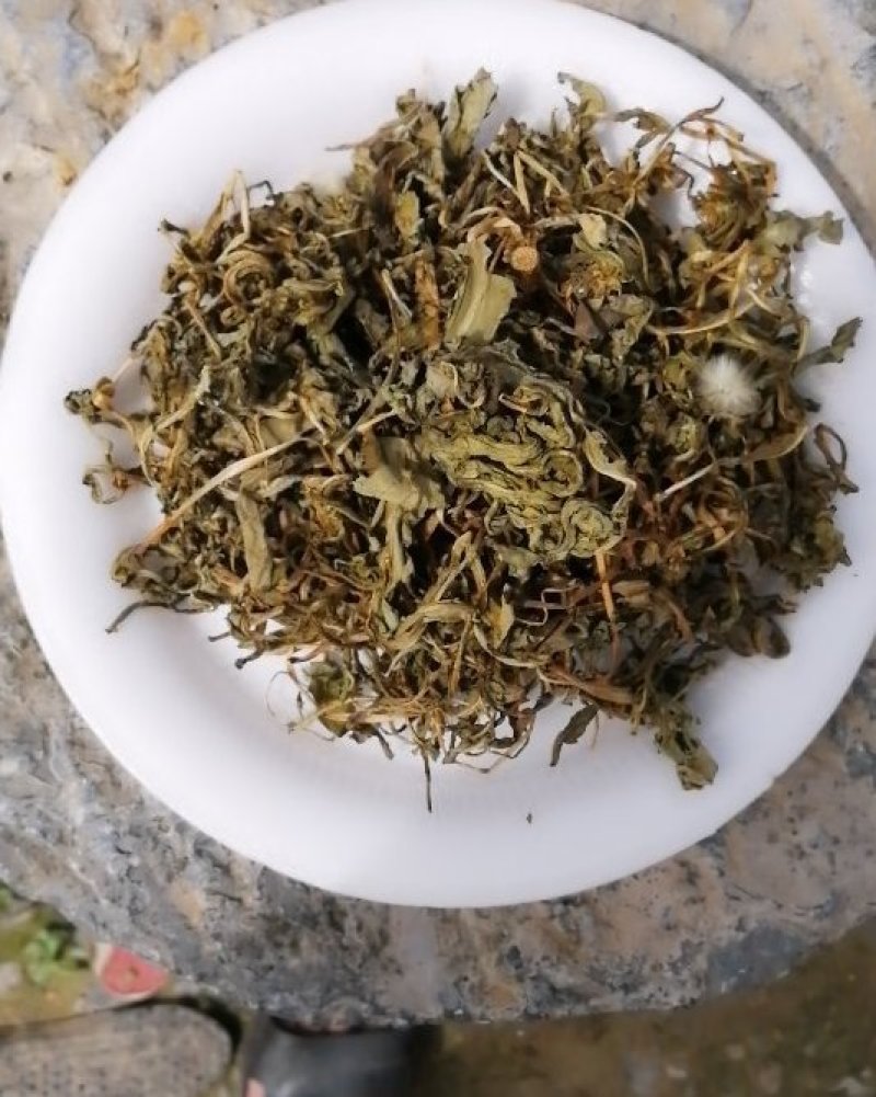 干货蒲公英，晾干，新鲜货。