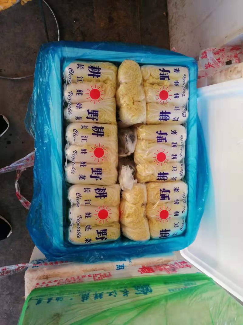 各种精品菜