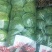 精品甘蓝河北甘蓝大量上市货源充足保质保量欢迎来电