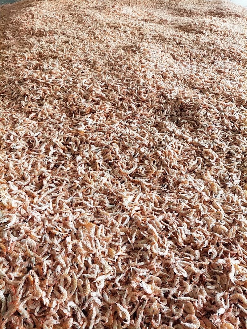 磷虾干