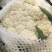 松花菜，有机花菜，青梗白面花菜