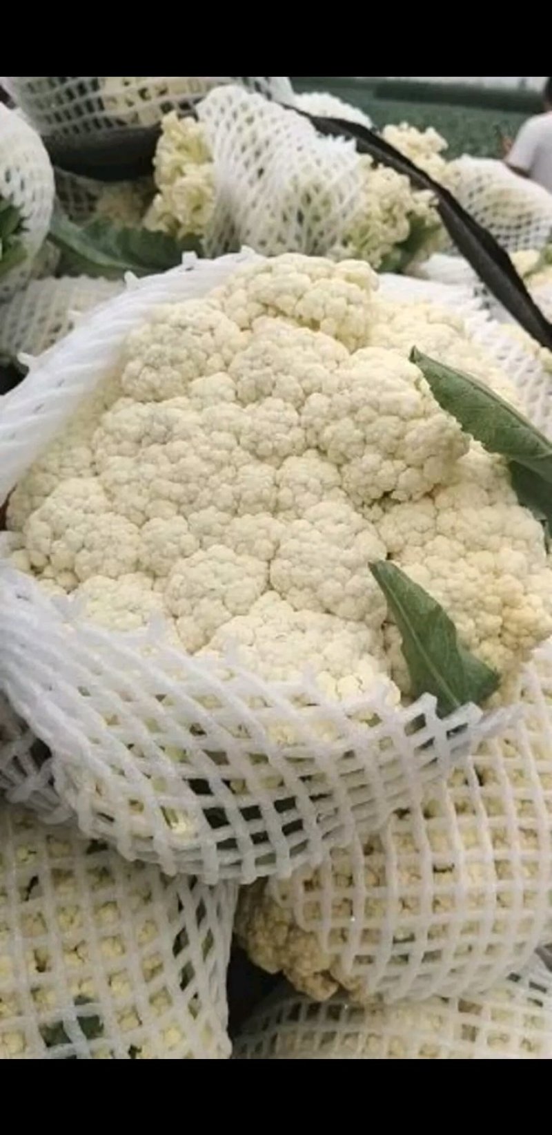 松花菜，有机花菜，青梗白面花菜