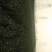 优质枳壳无病害，根系好成活率高