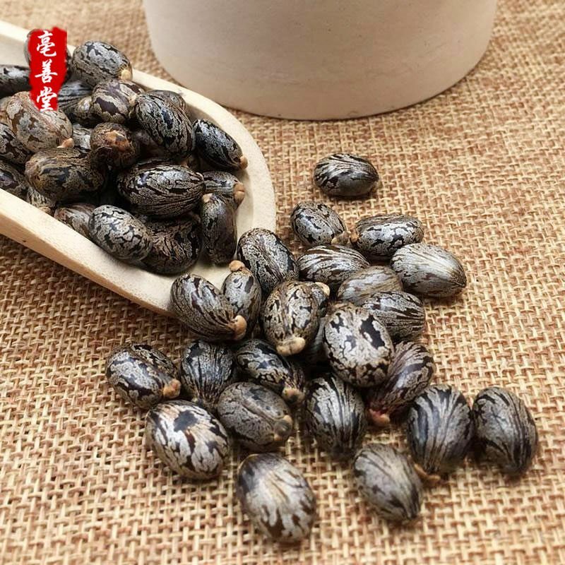 新货野生蓖麻子蓖麻籽中药材蓖麻仁蓖麻种子