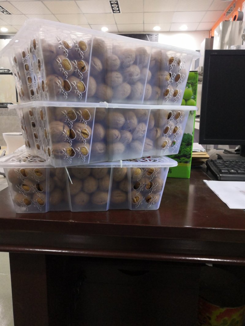 薄皮核桃