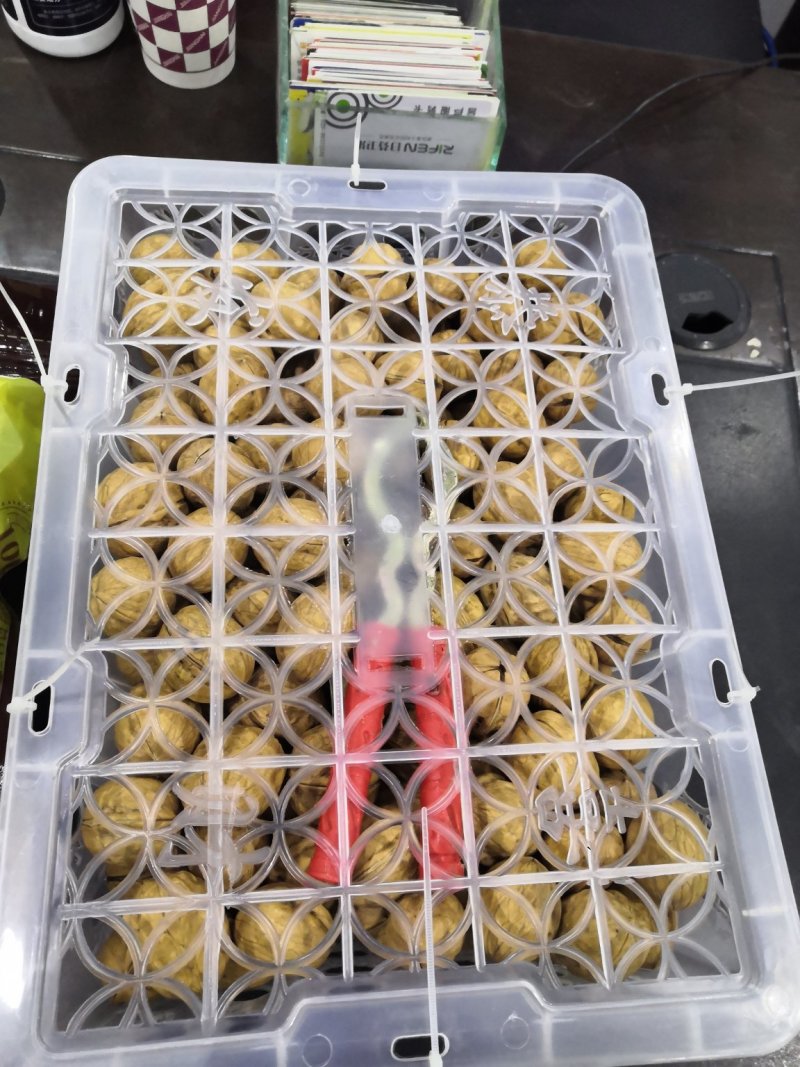薄皮核桃