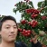 陕西山楂果，大棉球大量上市中，欢迎各大团队前来产地采购！