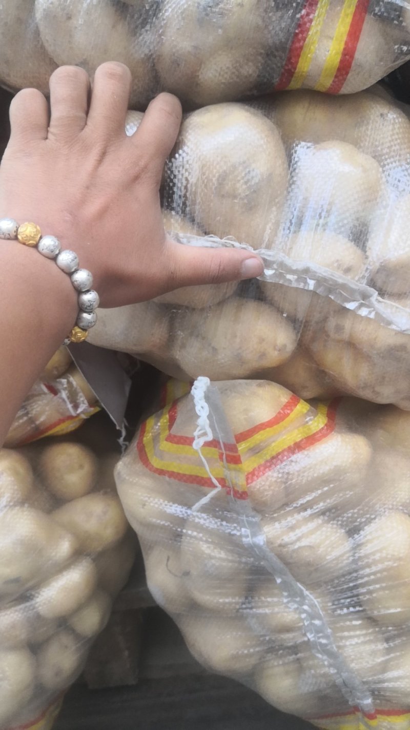 新疆阿克苏土豆，二至四两小土豆，四两起步一级大货
